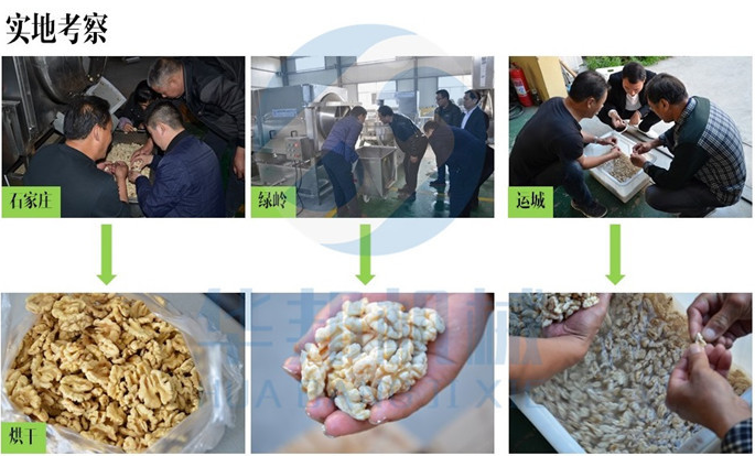 山東核桃仁去皮機(jī)