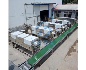 全自動(dòng)核桃仁去皮機(jī)流水線