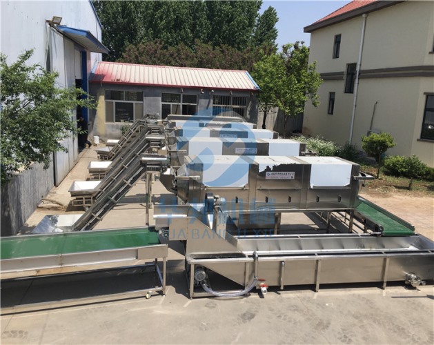 及省人力資源核桃仁脫衣機 核桃仁去皮設(shè)備