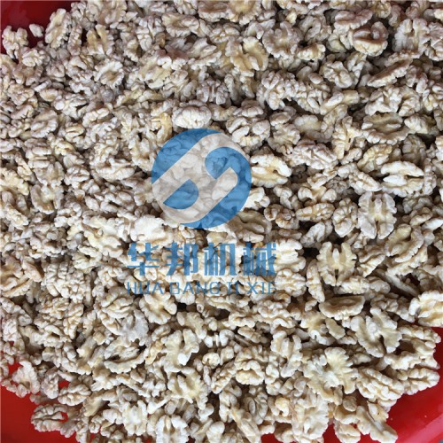 核桃仁脫衣機 小到大型核桃仁脫皮機