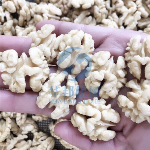 核桃仁脫皮機(jī)