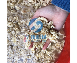 2020核桃仁脫衣機(jī)