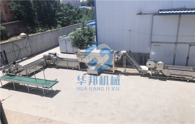 華邦機(jī)械核桃仁去皮機(jī) 脫皮率是多少