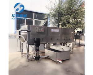 風(fēng)味核桃仁去皮機 核桃仁去衣機