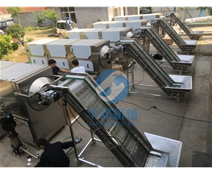 華邦核桃仁去皮設(shè)備 0添加核桃仁去皮機 去皮率高達(dá)98%