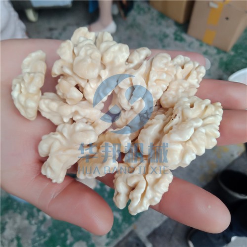 2019不限品種核桃仁去皮機 物理去皮