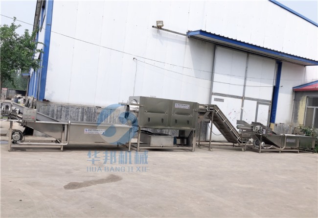 1人操作 核桃仁脫衣機(jī) 全自動去皮