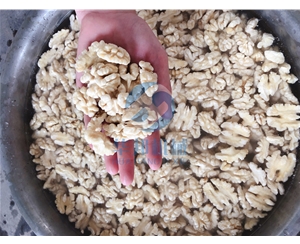 1臺省150人 核桃仁去皮機(jī)