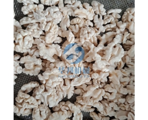 核桃仁深加工設(shè)備 核桃仁去衣機(jī)