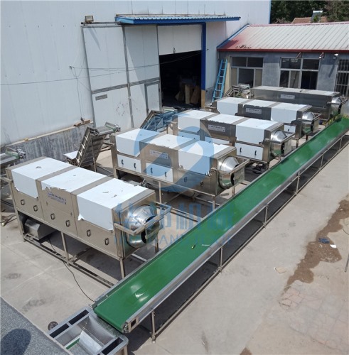 核桃仁脫皮機 98%核桃去皮機