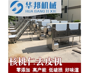 去皮核桃仁設備 核桃仁怎樣去皮 核桃仁去皮機