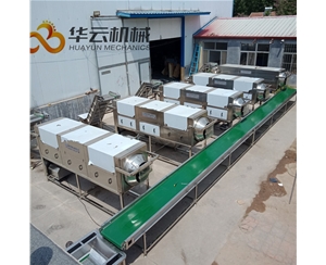 0化學(xué)核桃仁去皮機(jī) 2年質(zhì)保