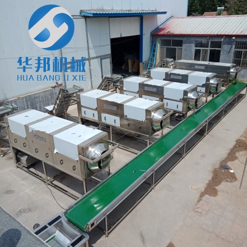 生產(chǎn)核桃仁去皮機(jī) 連續(xù)式運(yùn)作