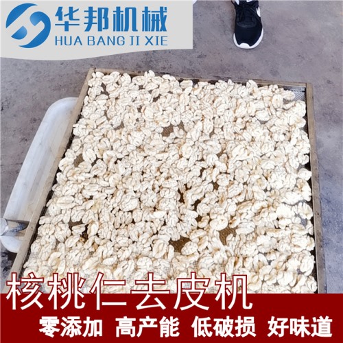 754凈水核桃仁去皮機 自來水去皮