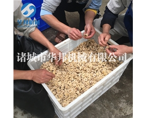 一級核桃仁去衣機(jī)