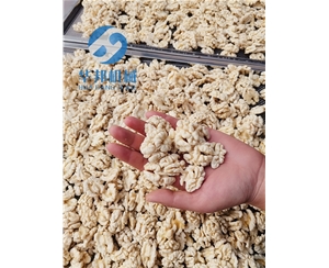 核桃仁去皮機 2020新款 物理核桃仁脫衣機