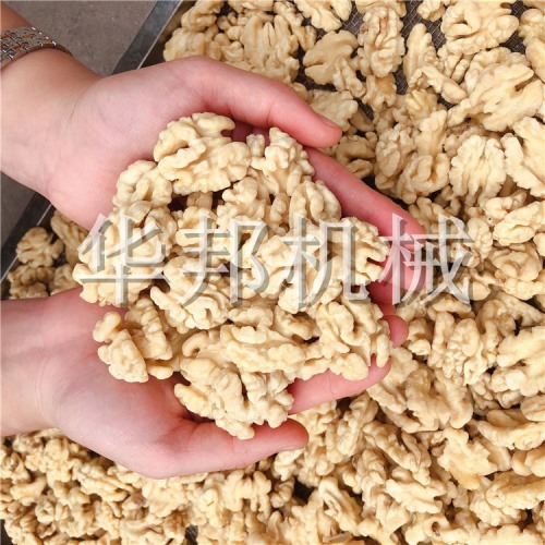 新款核桃仁脫皮機 華邦機械去衣核桃仁