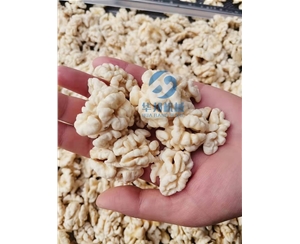 2020核桃仁去皮機 去皮核桃仁設(shè)備