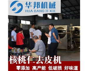 熱銷 核桃仁去皮機(jī)