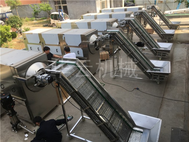 核桃仁去皮機(jī) 去衣核桃仁