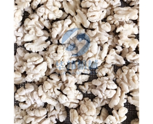 全自動(dòng) 核桃仁加工流水線