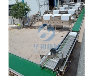 【循環(huán)水設(shè)計】核桃仁去皮機(jī)