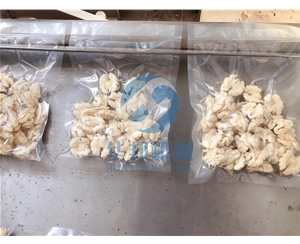 全自動核桃加工流水線