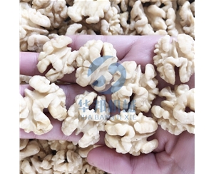 現(xiàn)貨 核桃仁去皮機