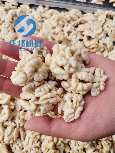 【省人工】核桃仁去皮機(jī)