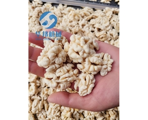 【省人工】核桃仁去皮機