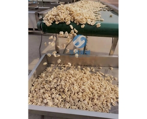 【全自動】核桃仁去皮機 核桃仁去衣機