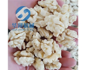 清水核桃仁去皮機(jī) 核桃仁去皮機(jī)