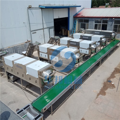 物理工藝 核桃仁去皮機(jī) 核桃仁去衣機(jī)