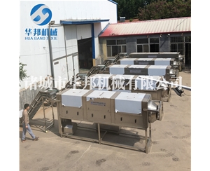 核桃仁去皮機 物理核桃仁去衣機