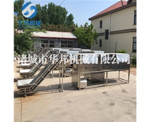 核桃仁皮怎么剝 華邦機械純物理核桃仁去衣機