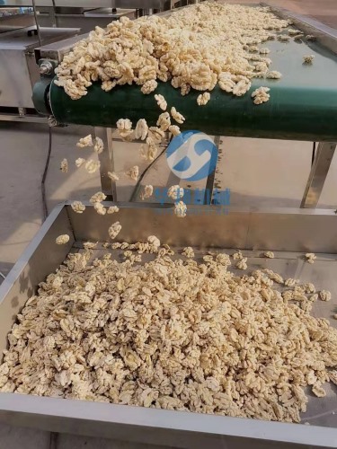 核桃仁去皮機(jī) 核桃仁去皮流水線 免費(fèi)設(shè)計(jì)安裝