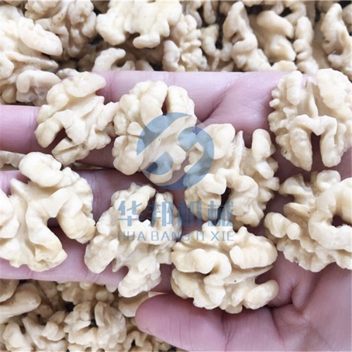 全自動(dòng)核桃仁加工流水線(xiàn)