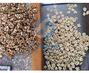 大型純物理核桃仁去皮機 華邦機械濃郁去皮設備