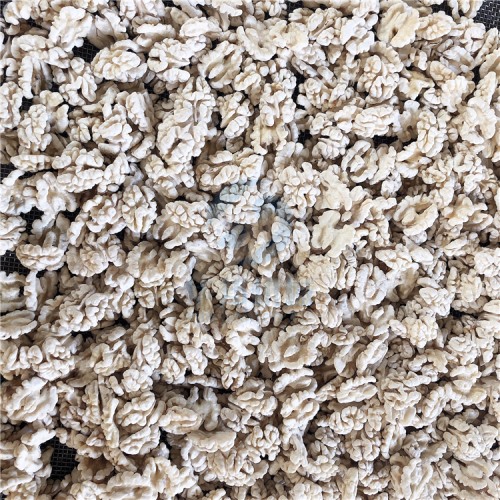 省186人 核桃仁脫皮機(jī)