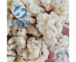 清水 核桃仁去皮機(jī)