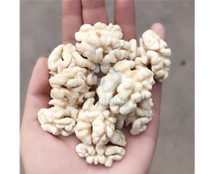 視頻 核桃仁去皮機(jī)