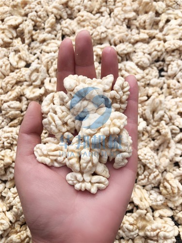 清水 核桃仁去皮機(jī)