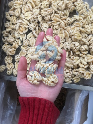 核桃仁脫皮機 華邦機械脫衣核桃仁廠家