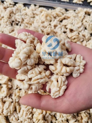 現(xiàn)貨 核桃仁去皮機 核桃仁脫衣機