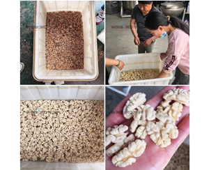 華邦核桃仁去皮 純物理核桃仁去皮清洗機 無污染