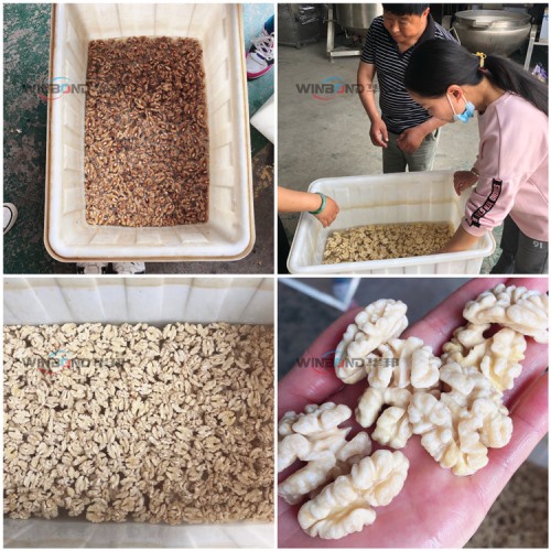 華邦核桃仁去皮 純物理核桃仁去皮清洗機(jī) 無污染