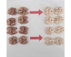 核桃仁去衣機 推薦華邦核桃仁去衣設備全自動 省人工