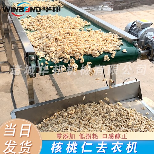 快速核桃仁去皮機 云南核桃仁脫皮機 9分鐘物理去皮