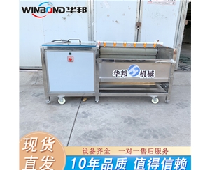 高產(chǎn)量紅薯清洗機(jī) 紅薯清洗去皮設(shè)備 工廠(chǎng)現(xiàn)貨