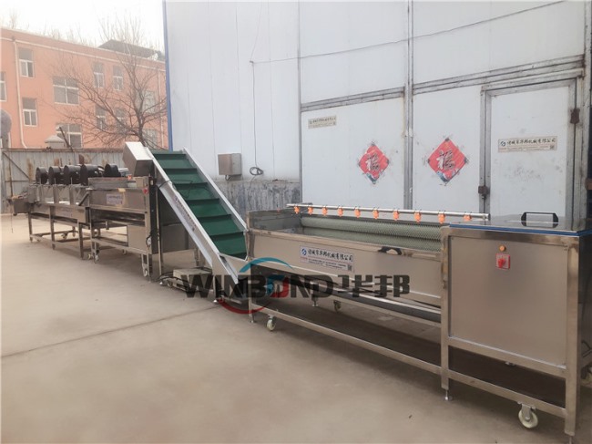 現(xiàn)場試機(jī) 紅薯清洗機(jī) 紅薯清洗風(fēng)干流水線